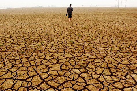 Việt Nam Xanh - Tr&aacute;i đất oằn m&igrave;nh dưới những thảm họa m&ocirc;i trường (H&igrave;nh 2).