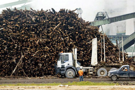 Việt Nam Xanh - Tr&aacute;i đất oằn m&igrave;nh dưới những thảm họa m&ocirc;i trường (H&igrave;nh 5).