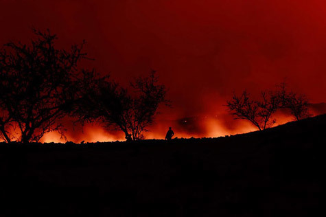 Việt Nam Xanh - Tr&aacute;i đất oằn m&igrave;nh dưới những thảm họa m&ocirc;i trường (H&igrave;nh 13).