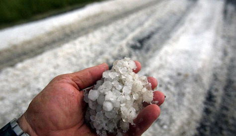 Việt Nam Xanh - Tr&aacute;i đất oằn m&igrave;nh dưới những thảm họa m&ocirc;i trường (H&igrave;nh 15).