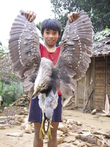 Việt Nam Xanh - Chim cá tiến vua cùng khóc trong hũ rượu (3)