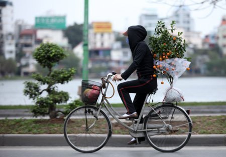 Xã hội - Người Hà Nội tất bật mua sắm trong ngày 29 Tết gió rét (Hình 12).