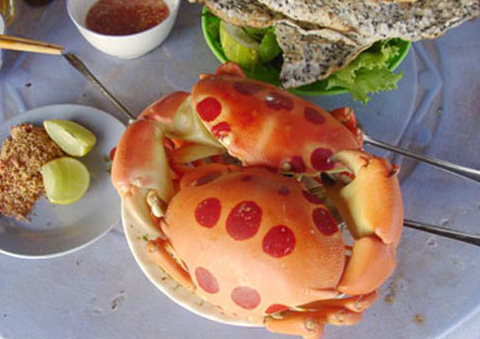 Việt Nam Xanh - Đặc sản biển kỳ dị tr&ecirc;n b&agrave;n tiệc (H&igrave;nh 9).