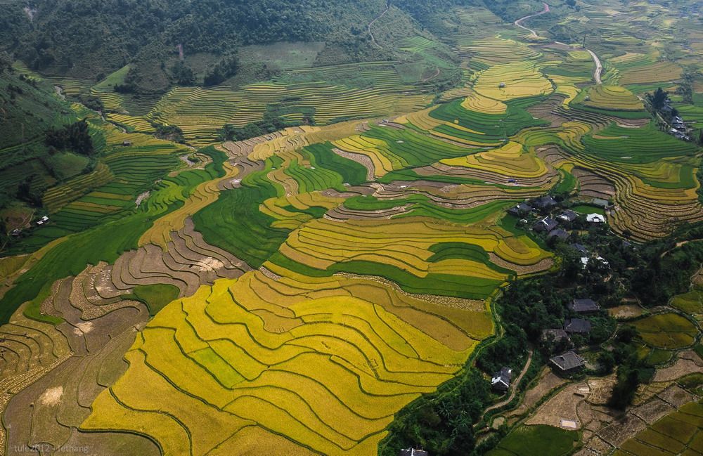 Lạ & Cười - Đẹp ngất ngây ruộng bậc thang Tây Bắc nhìn từ không trung (Hình 4).