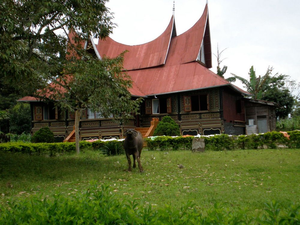 Lạ & Cười - 'Hậu duệ Hai Bà Trưng' trên đảo Sumatra (Hình 9).