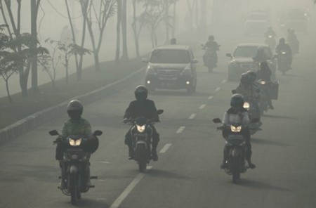 Tiêu điểm - Singapore mịt mờ trong khói bụi độc hại kỷ lục (Hình 8).
