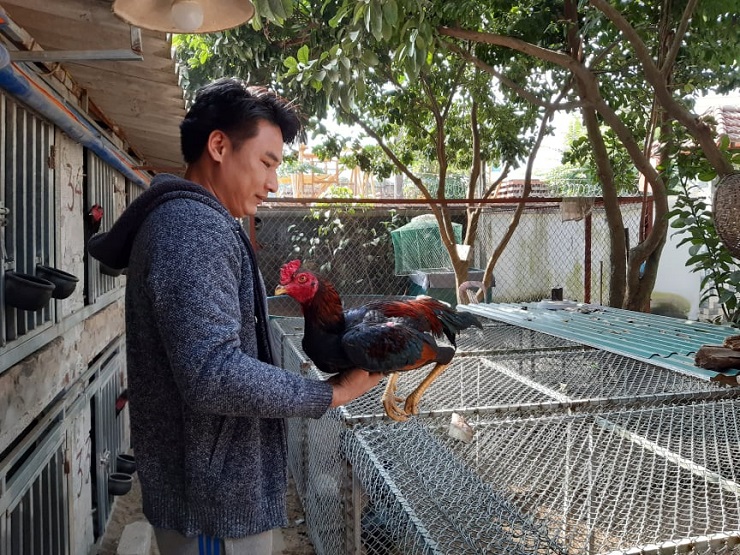 Khởi nghiệp từ vài con gà ông ngoại cho, 8x Hà Nội thu về hơn nửa tỷ đồng/năm