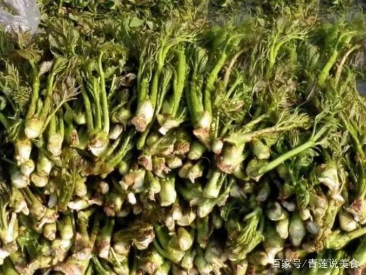 Đời sống - Loại rau mọc trên cây xưa toàn bị chặt bỏ, nay bán gần 300 nghìn/kg vẫn không đủ hàng (Hình 3).