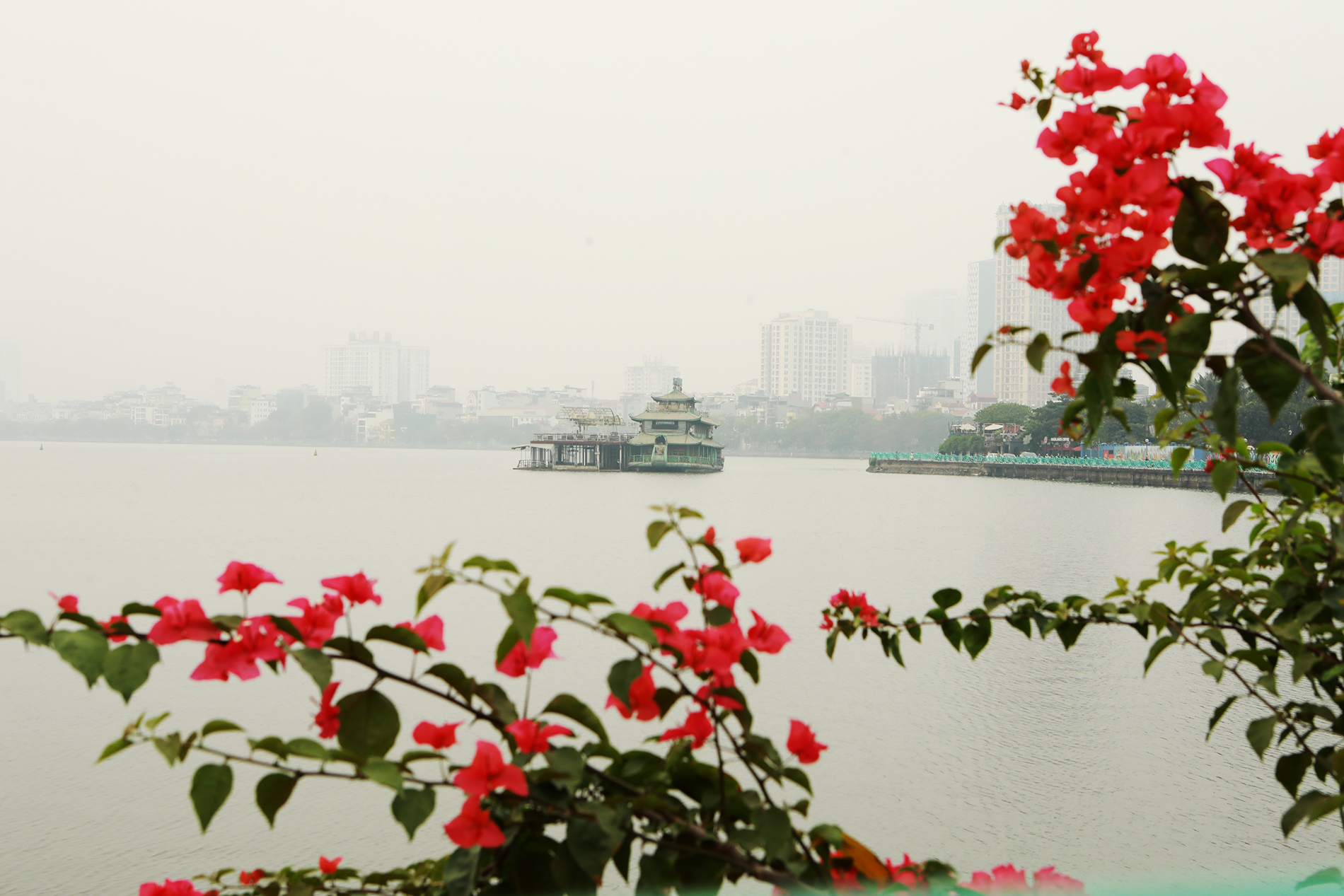 Sự kiện - Ảnh: Những chiếc “tàu ma” cuối cùng ở Hồ Tây (Hình 10).