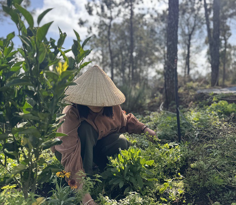 Kinh tế - Thu nhập chỉ 4,5 triệu đồng/tháng, cô gái 9x vẫn mua đất làm nhà trước tuổi 30 (Hình 6).