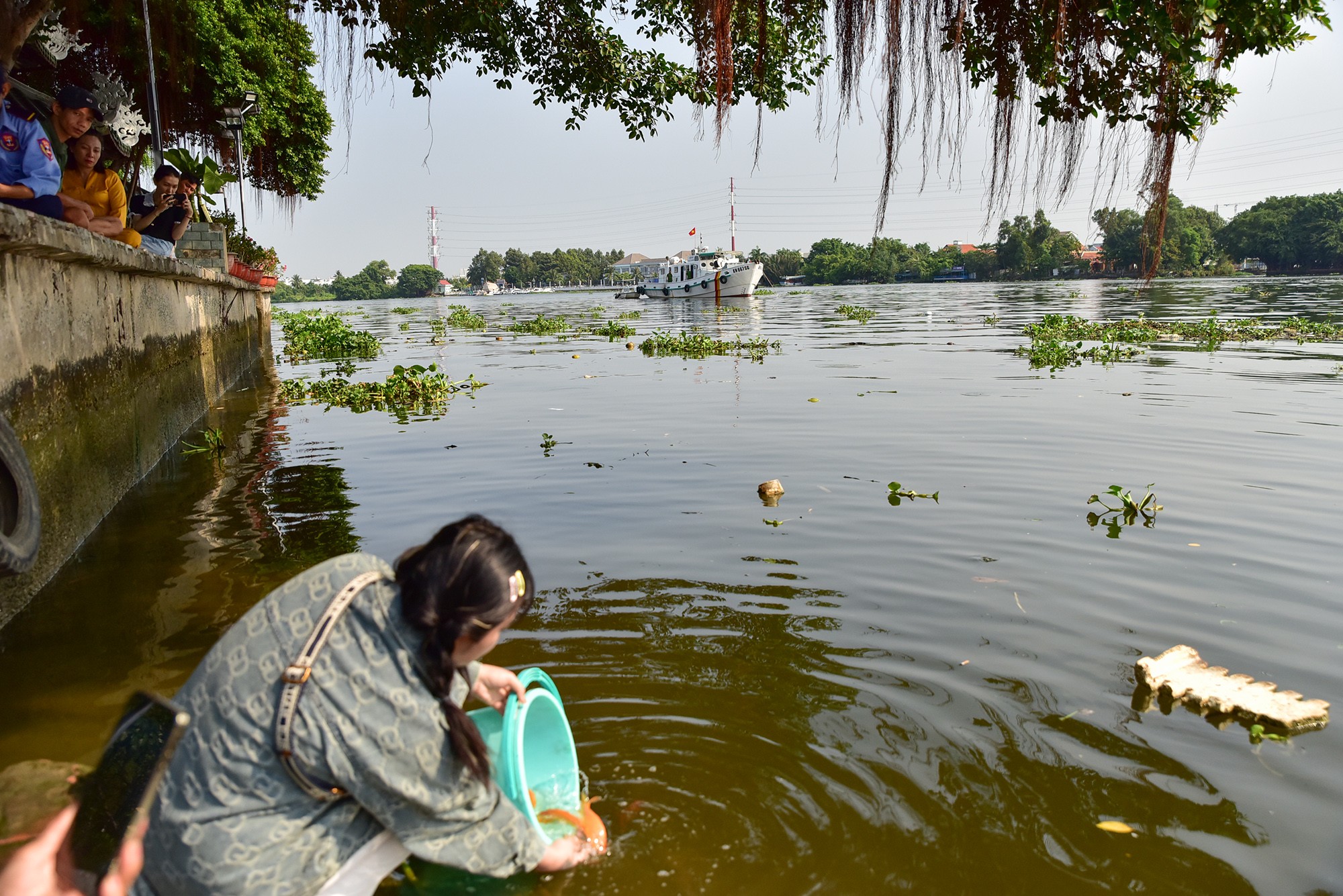 Pháp luật - Sau vụ “hỗn chiến” khi thả cá phóng sinh ở TP.HCM, nhóm chích điện đã “mất tích” (Hình 11).