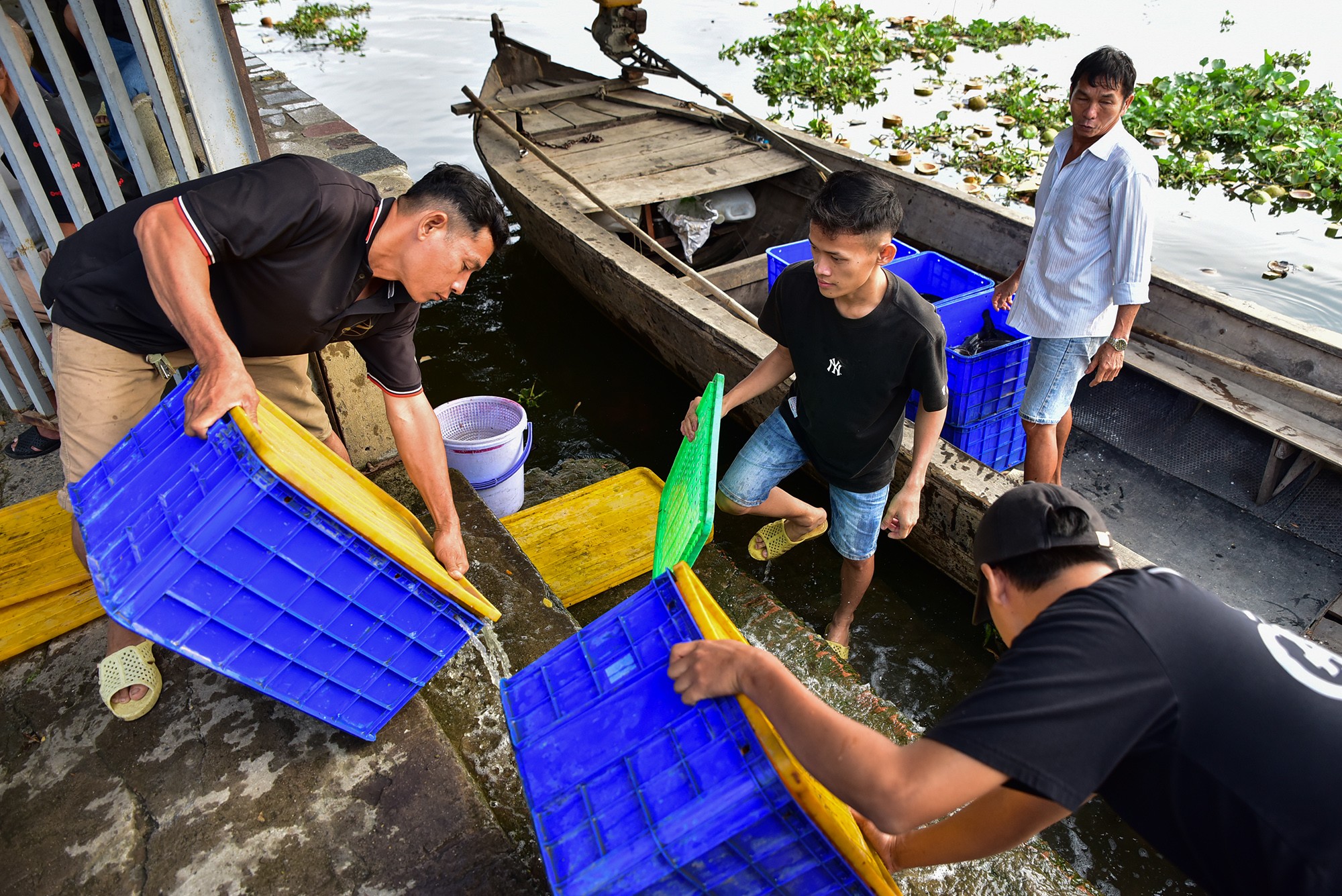 Pháp luật - Sau vụ “hỗn chiến” khi thả cá phóng sinh ở TP.HCM, nhóm chích điện đã “mất tích” (Hình 8).