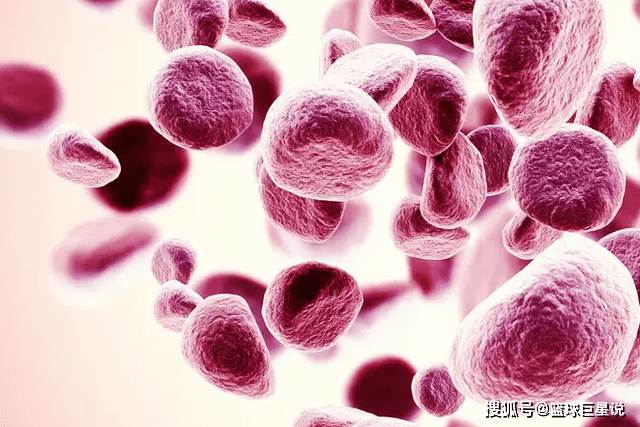 Sức khỏe - Máu có 3 chỉ số bất thường này, cần đi khám càng sớm càng tốt (Hình 4).