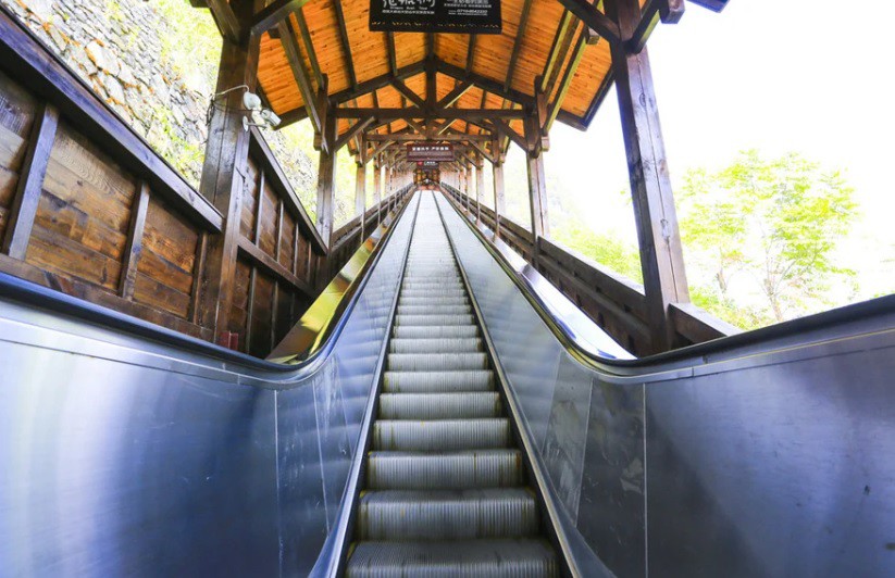 Đời sống - Độc lạ thang cuốn khổng lồ thay thế cho việc đi bộ leo núi