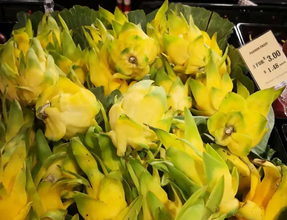 Đời sống - 10 loại trái cây đắt nhất thế giới, có tiền chưa chắc mua được (Hình 4).