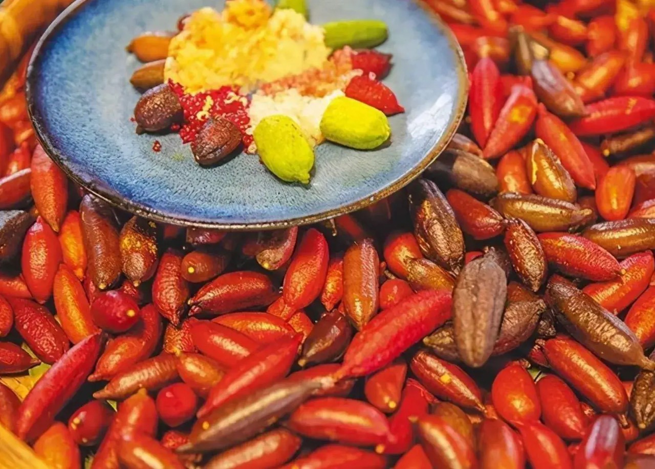 Đời sống - 10 loại trái cây đắt nhất thế giới, có tiền chưa chắc mua được (Hình 5).