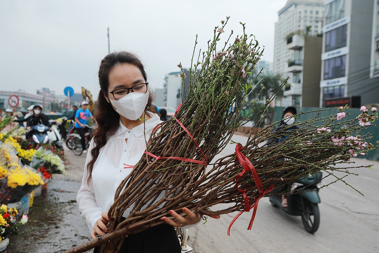Dân sinh - Ngỡ ngàng đào, bưởi cảnh xuống phố đón Tết sớm (Hình 6).