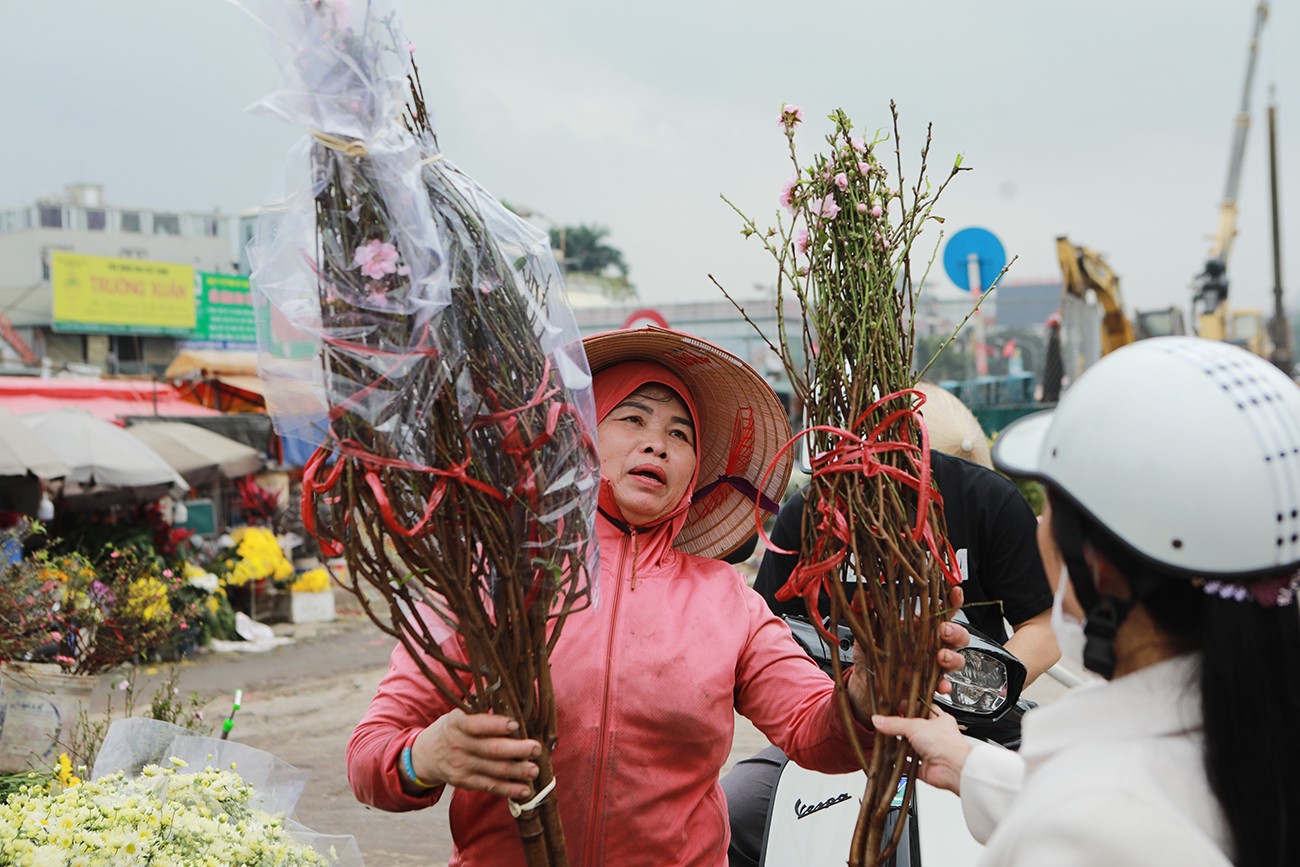 Dân sinh - Ngỡ ngàng đào, bưởi cảnh xuống phố đón Tết sớm (Hình 4).