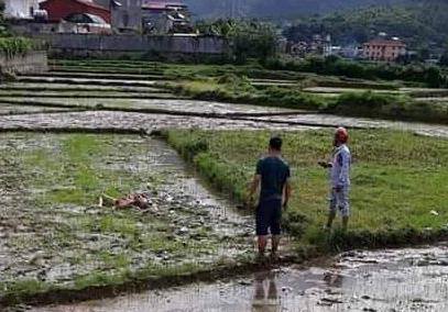 An ninh - Hình sự - An ninh hình sự 24h: Thảm án tại Điện Biên gây rúng động; Tạm giữ người đàn ông dâm ô bé trai trong thang máy