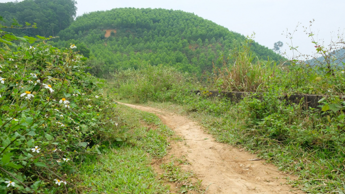 An ninh - Hình sự - Thanh Hóa: Tiết lộ nhiều thông tin mới vụ người đàn ông bị cắt 'cậu nhỏ'