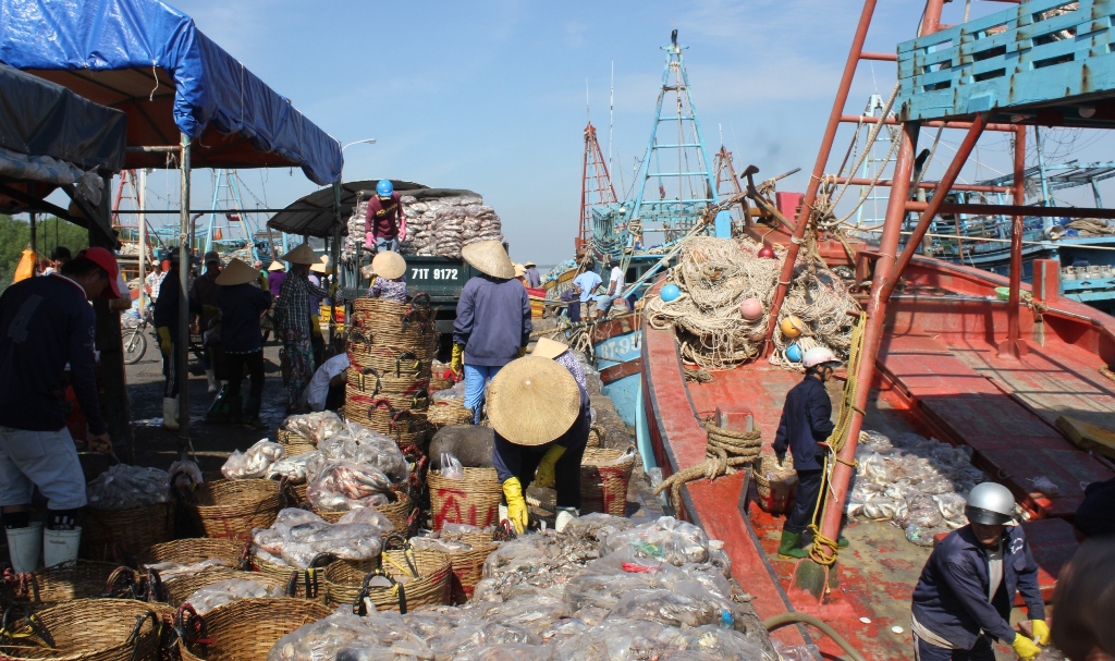 Tin nhanh - Bến Tre: Gấp rút sơ tán dân, kêu gọi tàu thuyền vào nơi tránh bão (Hình 2).