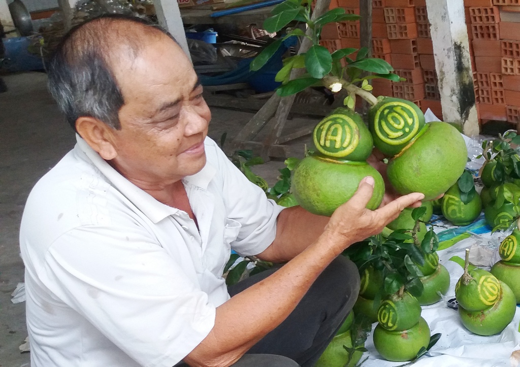 Xã hội - Bưởi hồ lô “tài – lộc” 2,4 triệu đồng/cặp không đủ bán