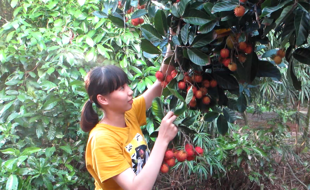 Bình luận - Nữ võ sĩ Kim Tuyền: Tết chỉ thích phụ ba làm vườn, giúp mẹ làm bếp (Hình 6).