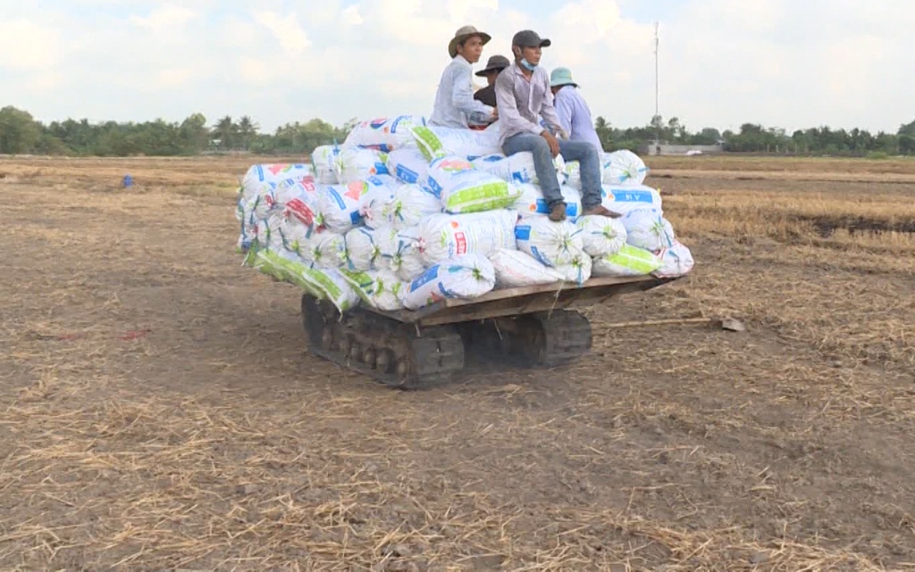 Tin nhanh - Vĩnh Long: Nông dân ồ ạt bán đất mặt ruộng  (Hình 3).