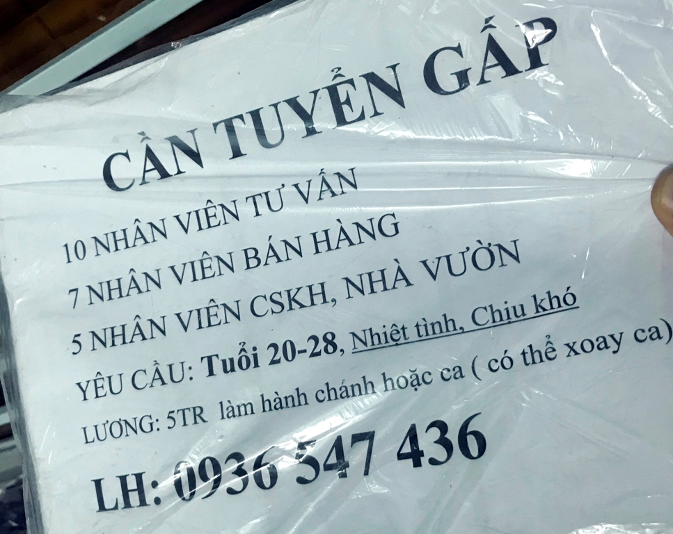 Phát hiện công ty bán hàng đa cấp quy mô lớn (Hình 2).