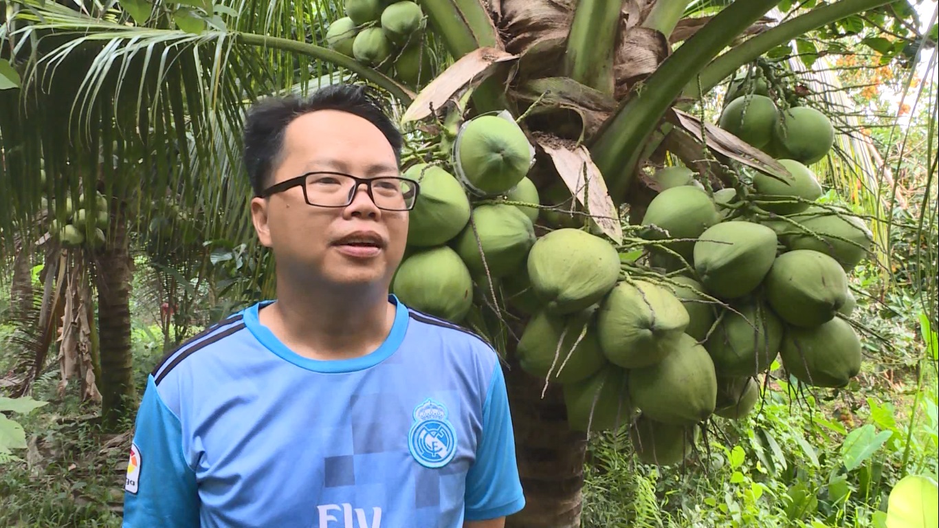 Tiêu dùng & Dư luận - Vĩnh Long: Nhiều sản phẩm “độc, lạ' phục vụ Tết Nguyên đán Kỷ Hợi 2019