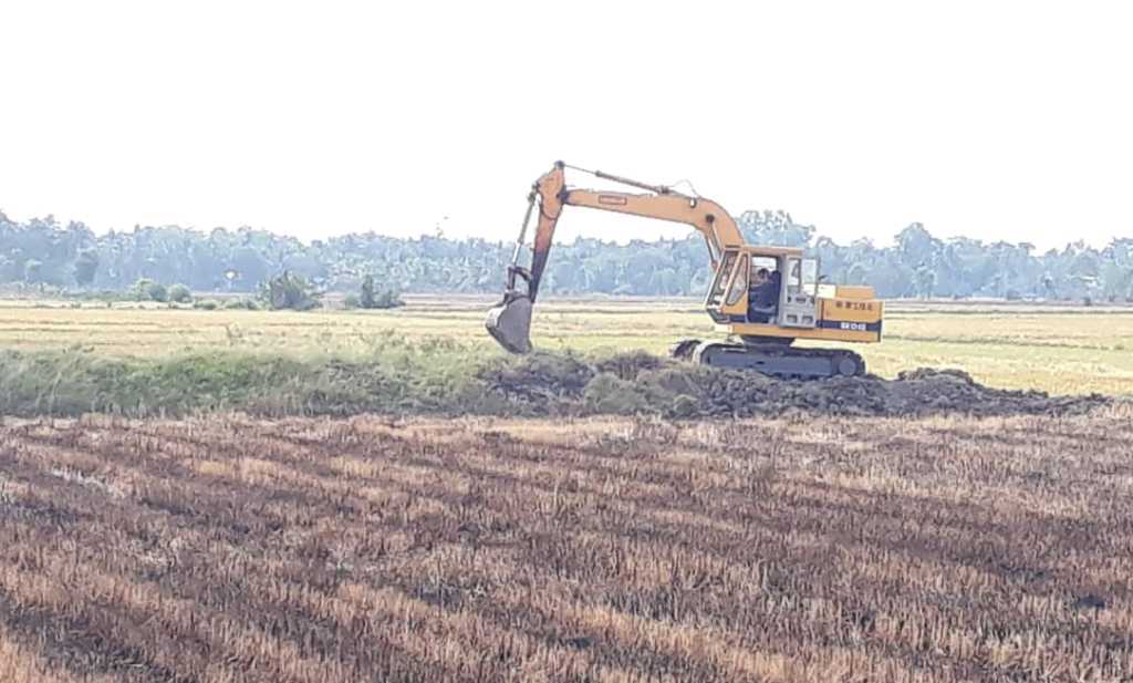 Tin nhanh - Vì sao nông dân miền Tây ồ ạt bán đất mặt ruộng?