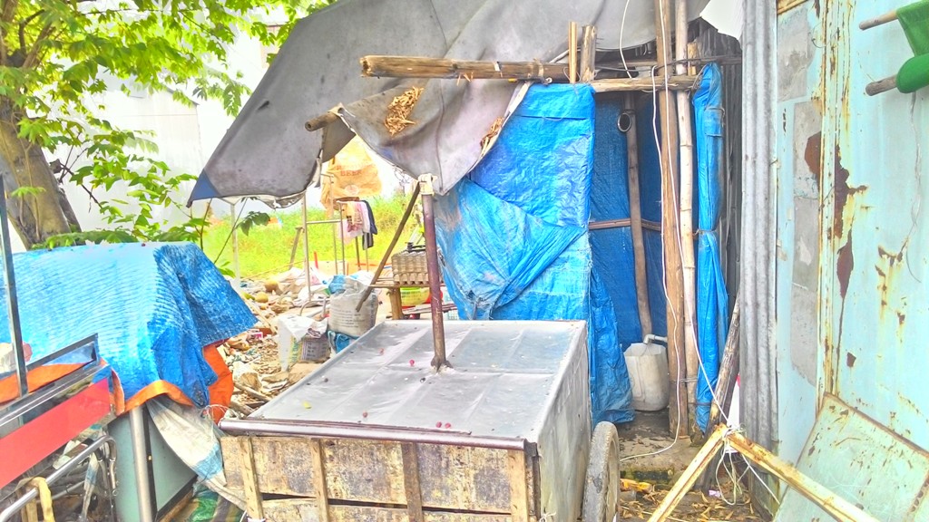 Hồ sơ điều tra - Người phụ nữ nghiện l&ocirc; đề s&aacute;t hại cụ b&agrave;, cướp t&agrave;i sản khi đang mang thai ở th&aacute;ng thứ 7 (H&igrave;nh 2).