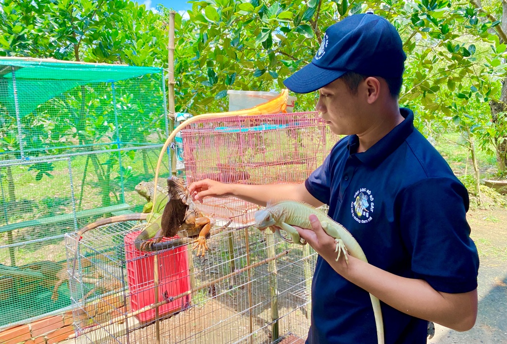 Dân sinh - An Giang: Nuôi Rồng Nam Mỹ thu lợi hàng trăm triệu mỗi năm (Hình 2).