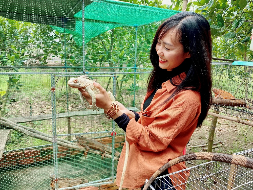 Dân sinh - An Giang: Nuôi Rồng Nam Mỹ thu lợi hàng trăm triệu mỗi năm (Hình 6).