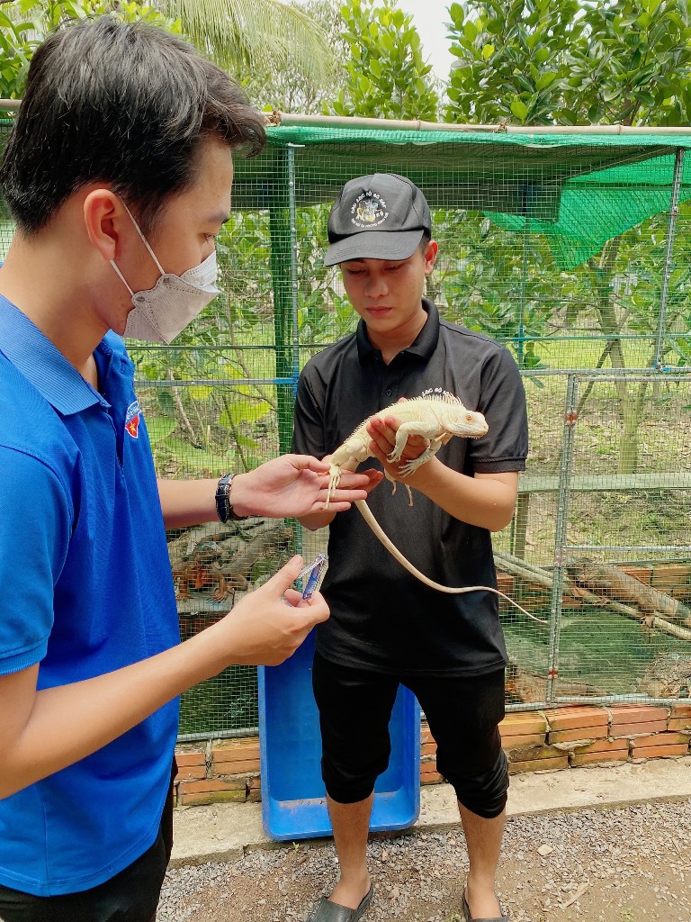 Dân sinh - An Giang: Nuôi Rồng Nam Mỹ thu lợi hàng trăm triệu mỗi năm (Hình 5).