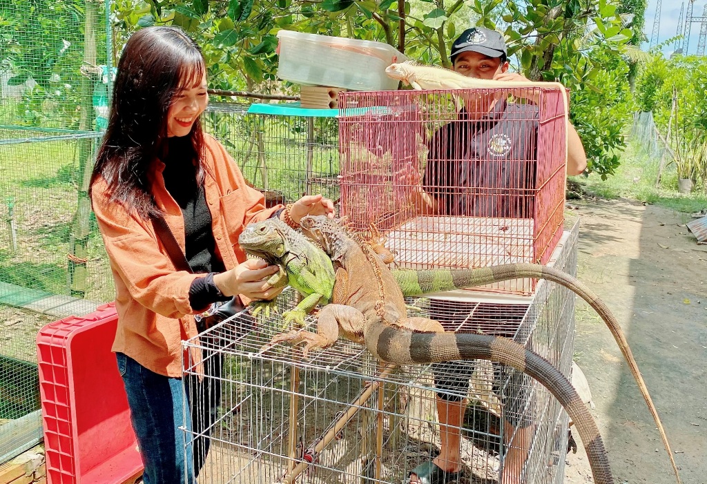 Dân sinh - An Giang: Nuôi Rồng Nam Mỹ thu lợi hàng trăm triệu mỗi năm (Hình 4).