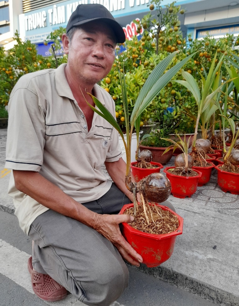 Tiêu dùng & Dư luận - Đa dạng loại trái cây độc lạ được bày bàn dịp Tết Nguyên đán 2023