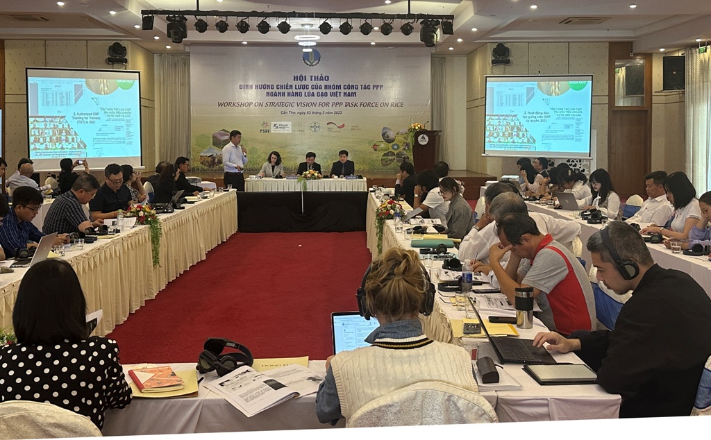 Kinh tế vĩ mô - Thành lập Nhóm công tác đối tác công tư (PPP) ngành hàng lúa gạo 