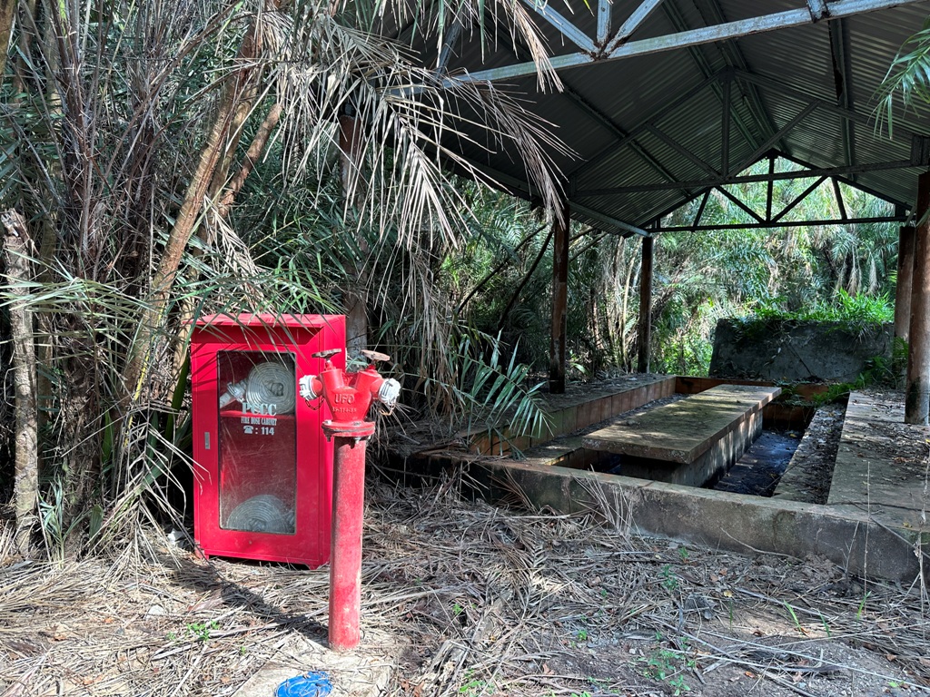 Tiêu điểm - Phòng cháy rừng mùa khô tại vườn chim duy nhất trong thành phố ở ĐBSCL (Hình 4).