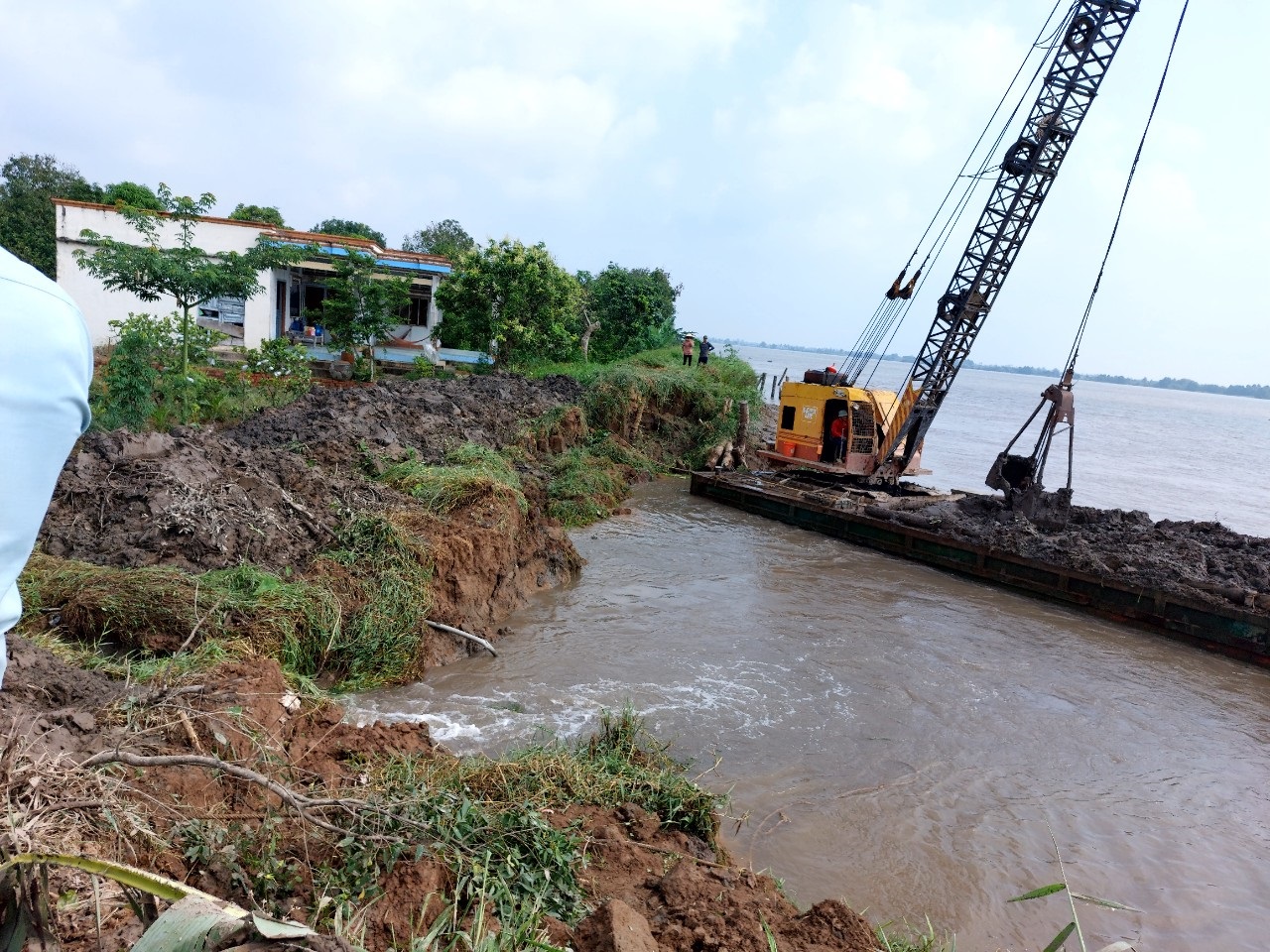 Dân sinh - Vĩnh Long: Cồn Thanh Long bất ngờ sạt lở, ảnh hưởng tới hơn 17ha cây ăn trái (Hình 2).