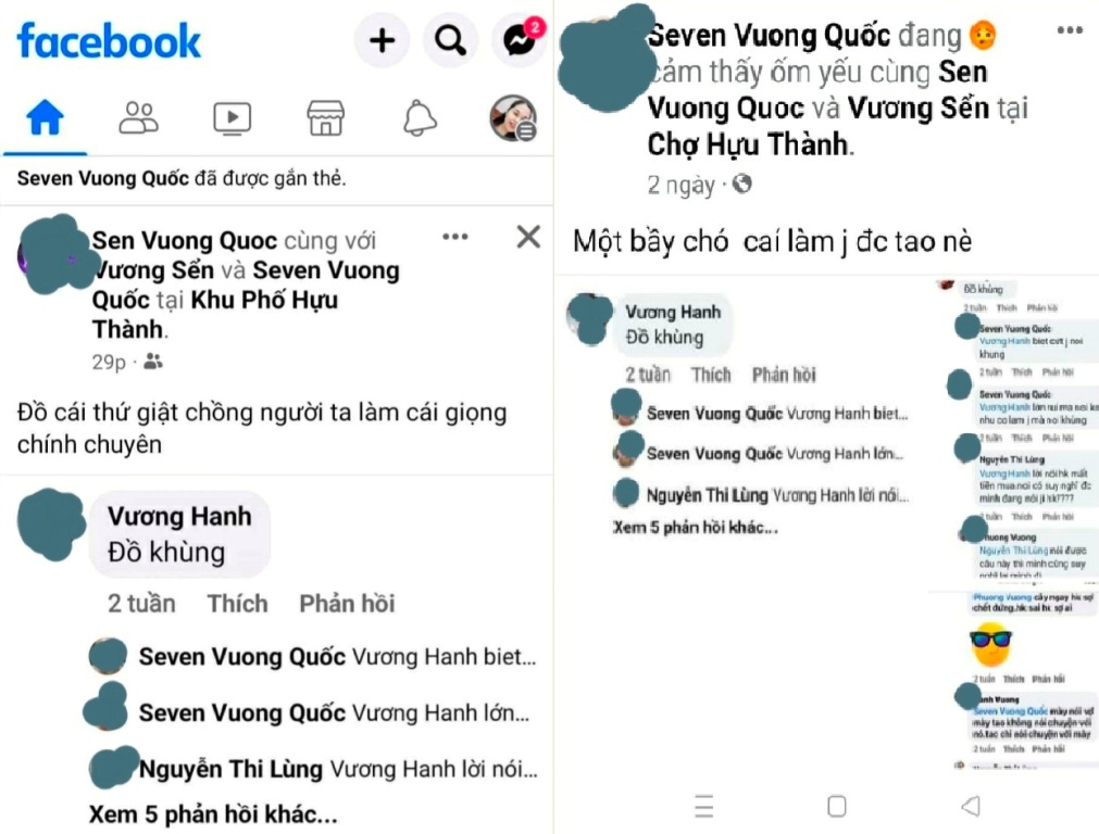 An ninh - Hình sự - Bị phạt 7,5 triệu đồng vì đăng tin xúc phạm cô ruột trên mạng xã hội 
