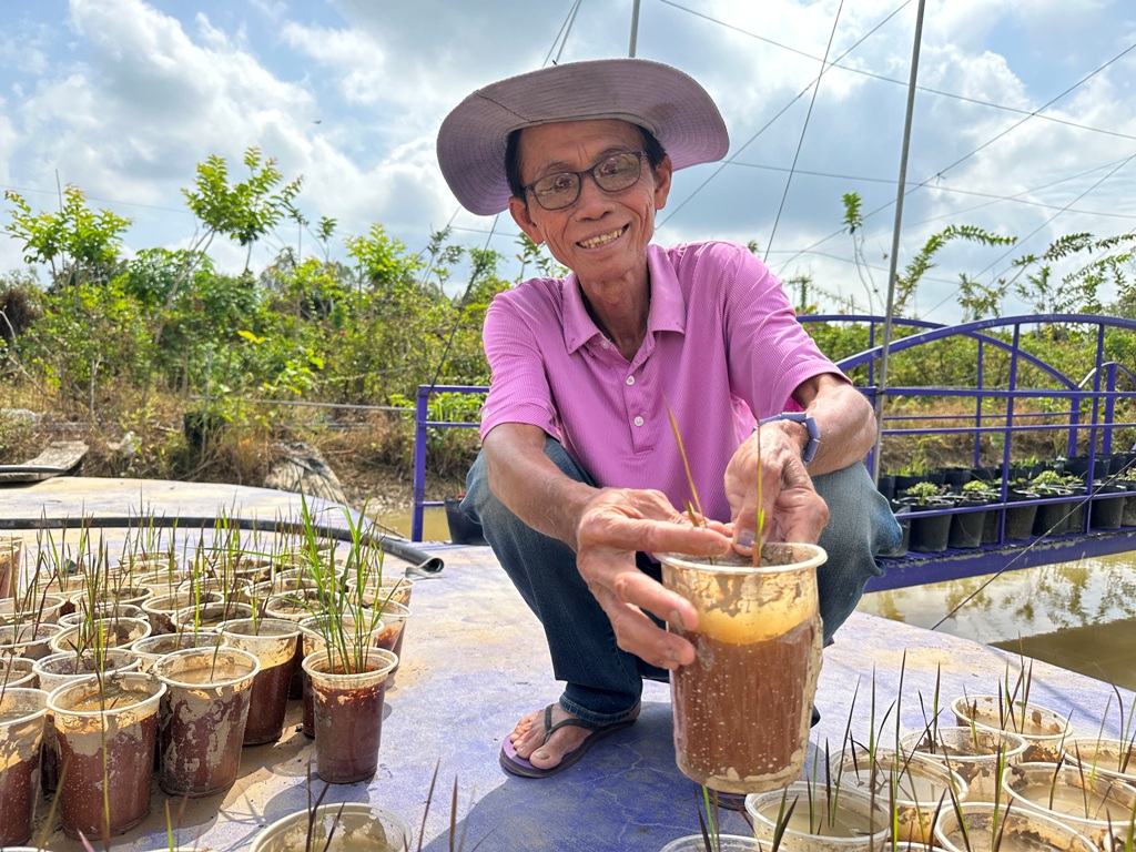 Tiêu dùng & Dư luận - Hoa kiểng đồng bằng sông Cửu Long nhộn nhịp vào vụ Tết (Hình 3).