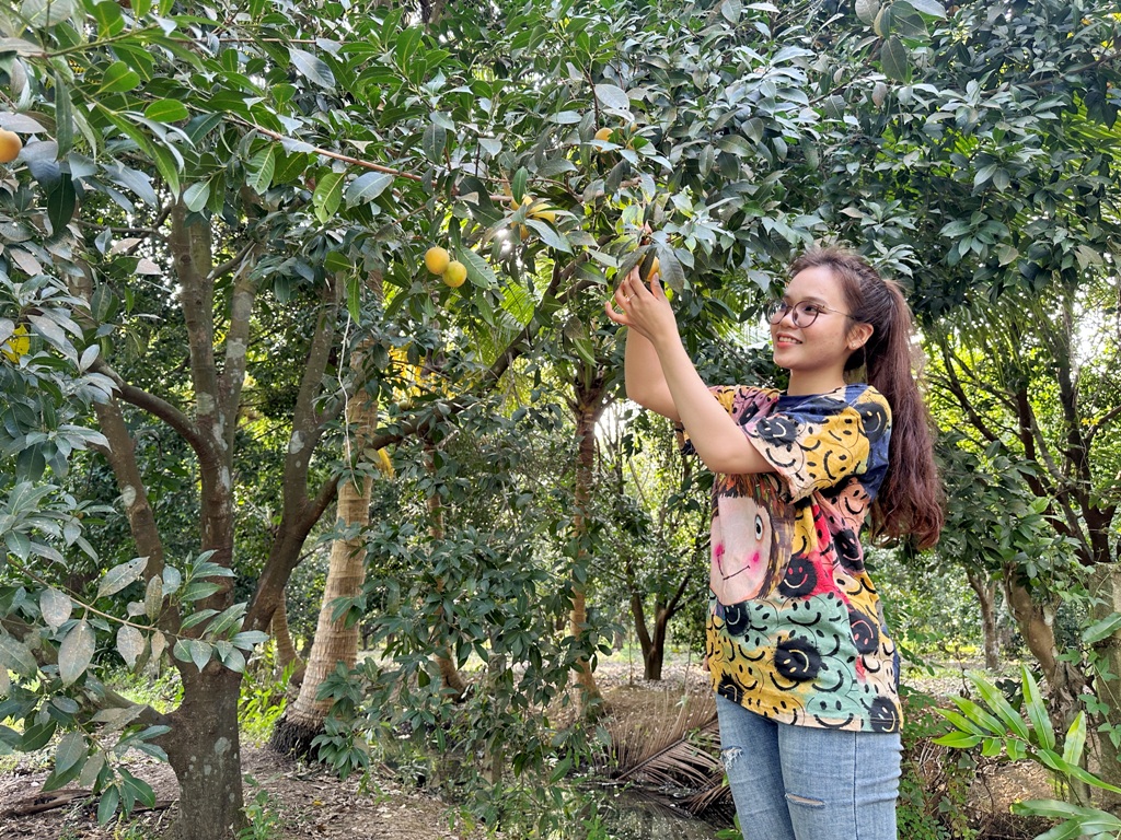 Tiêu dùng & Dư luận - Thanh trà ĐBSCL mất mùa do thời tiết, giá bán cao  (Hình 6).