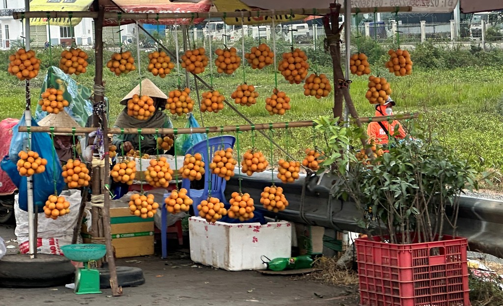 Tiêu dùng & Dư luận - Thanh trà ĐBSCL mất mùa do thời tiết, giá bán cao  (Hình 3).