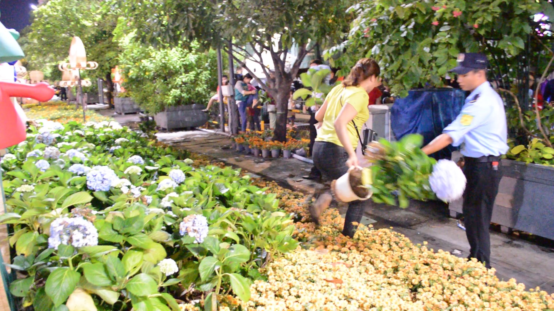 Văn hoá - Cám cảnh du khách vượt rào, giành giật hoa ở đường hoa Nguyễn Huệ (Hình 6).