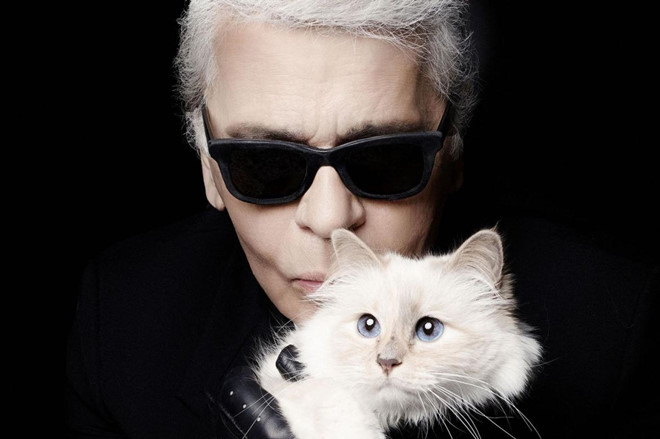 Sự kiện - Nhận tài sản thừa kế từ NTK Karl Lagerfeld, Choupette sẽ là chú mèo giàu nhất thế giới