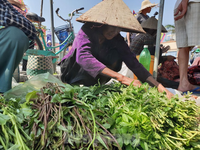 Tiêu dùng & Dư luận - Thịt trâu chọi Đồ Sơn 'đắt như tôm tươi', tới cả 2 triệu đồng/kg (Hình 6).