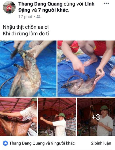 Tin nhanh - Vụ 'khoe' ảnh giết thịt chồn bay lên Facebook: Đã xác định được người đăng tải