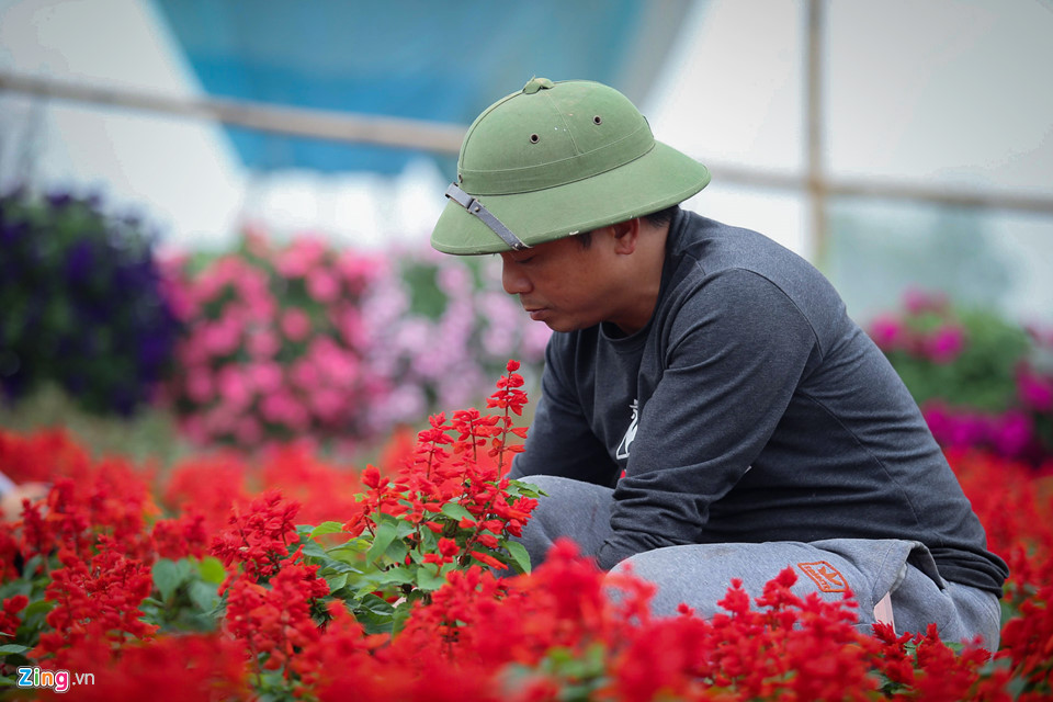 Cộng đồng mạng - Chiêm ngưỡng “cúp vô địch” bằng hoa khổng lồ cổ vũ ĐT Việt Nam tại Asian Cup (Hình 5).