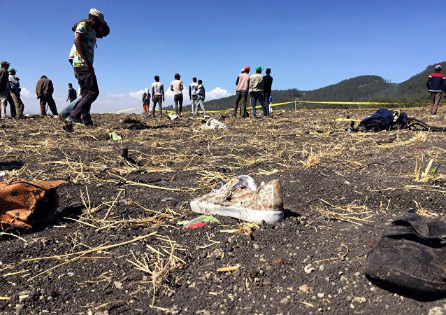 Tài chính - Ngân hàng - Lo sợ sau tai nạn máy bay tại Ethiopia, Trung Quốc cấm dùng máy bay Boeing 737 Max 8 (Hình 3).